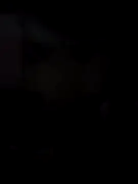 Snapshot of Honyogi chatting on 12.27.24 Honyogi online show from 12.27.24