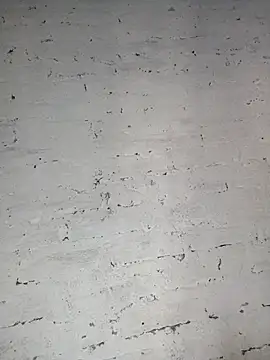 Snapshot of Y4NcA chatting on 09.28.25 Y4NcA online show from 09.28.25