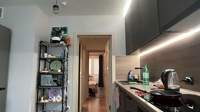 jainesummer online show from 12.04.25