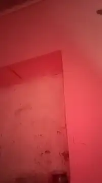 Snapshot of sosarax chatting on 01.30.25 sosarax online show from 01.30.25