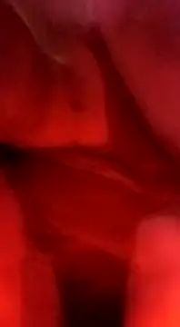 Snapshot of sosarax chatting on 02.05.25 sosarax online show from 02.05.25