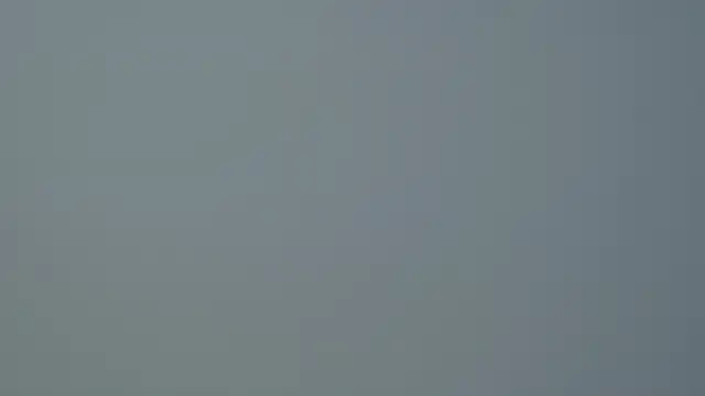 SelinSwarovski online show from 10.14.25