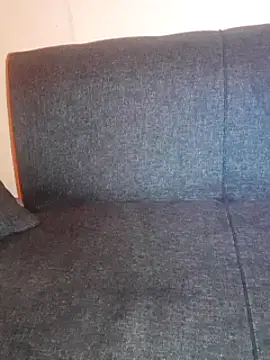 Snapshot of Premium_Dick chatting on 02.02.25 Premium Dick online show from 02.02.25