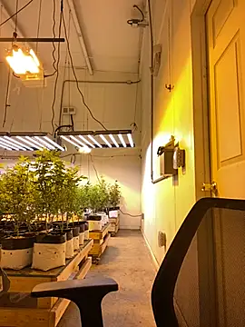 Snapshot of jr91esl chatting on 03.02.25 jr91esl online show from 03.02.25