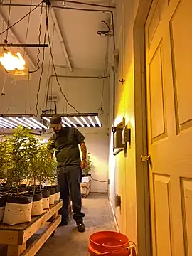 Snapshot of jr91esl chatting on 03.02.25 jr91esl online show from 03.02.25