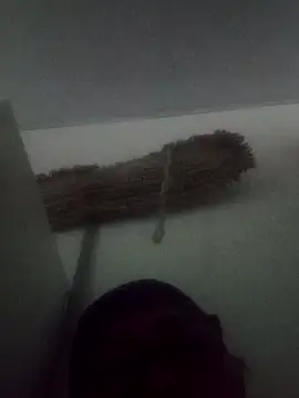 Snapshot of Darly_Gomez chatting on 02.09.25 Darly Gomez online show from 02.09.25