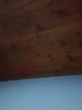 Snapshot of Darly_Gomez chatting on 02.19.25 Darly Gomez online show from 02.19.25