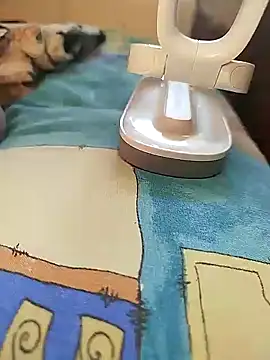 Snapshot of sanek1995sexx chatting on 01.02.25 sanek1995sexx online show from 01.02.25