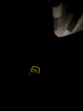 Snapshot of sanek1995sexx chatting on 09.28.25 sanek1995sexx online show from 09.28.25