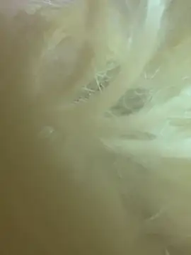 CherryEmmy online show from 10.27.25