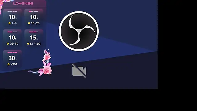  Willow  online show from 11.18.25