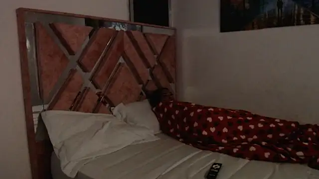 Snapshot of dream_fulfilled chatting on 02.18.25 dream fulfilled online show from 02.18.25