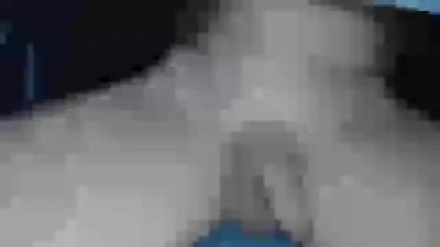 Snapshot of cs1512 chatting on 02.13.25 cs1512 online show from 02.13.25