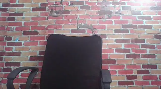 Snapshot of telugu_indhu_0001 chatting on 12.24.24 telugu indhu 0001 online show from 12.24.24