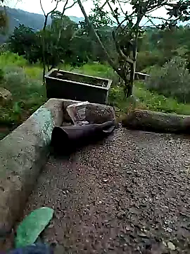 Snapshot of crazysex095 chatting on 01.02.25 crazysex095 online show from 01.02.25