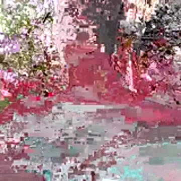 Kaizer1 online show from 10.26.25