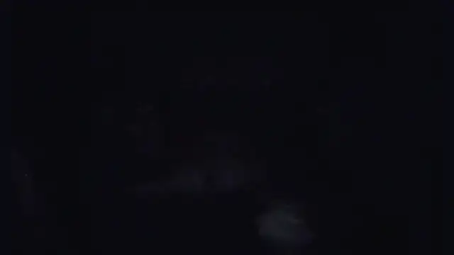 Snapshot of ParaFox chatting on 09.14.25 ParaFox online show from 09.14.25