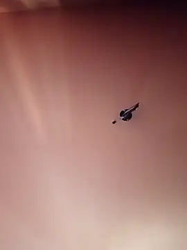 Snapshot of BR_master chatting on 09.19.25 BR master online show from 09.19.25