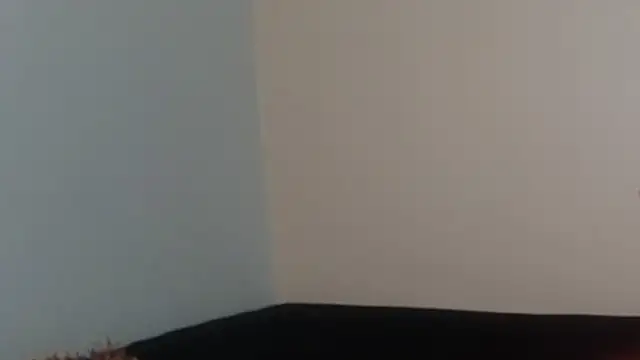 Snapshot of hairyncuteass chatting on 02.13.25 hairyncuteass online show from 02.13.25
