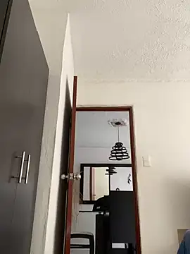 Snapshot of Diegosavage3 chatting on 02.06.25 Diegosavage3 online show from 02.06.25