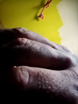 Snapshot of wapo100x100 chatting on 10.06.25 wapo100x100 online show from 10.06.25