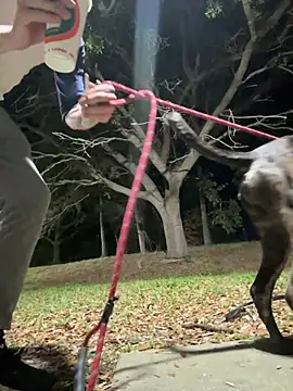 Snapshot of sexyhotstud12 chatting on 02.18.25 sexyhotstud12 online show from 02.18.25