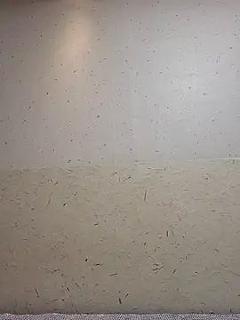 Tyyyggjju online show from 10.20.25