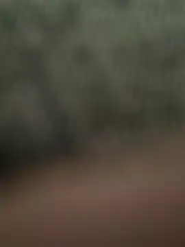 Mango Cream online show from 02.02.25