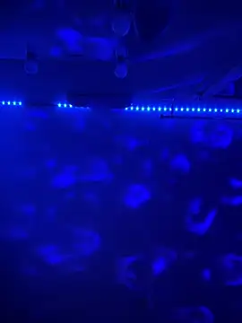 Snapshot of BBSTRING chatting on 11.15.25 BBSTRING online show from 11.15.25