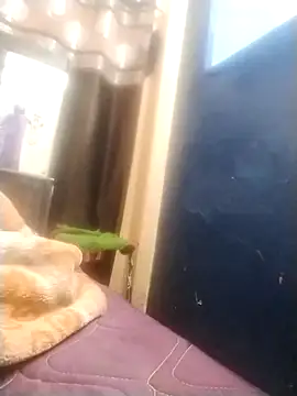 Snapshot of neha007-K chatting on 03.10.25 neha007-K online show from 03.10.25