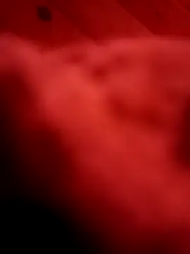 Snapshot of Arabian chatting on 02.11.25 Arabian online show from 02.11.25