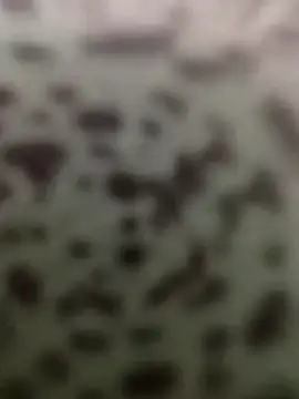 Snapshot of Yashkumar_0697 chatting on 10.13.25 Yashkumar 0697 online show from 10.13.25