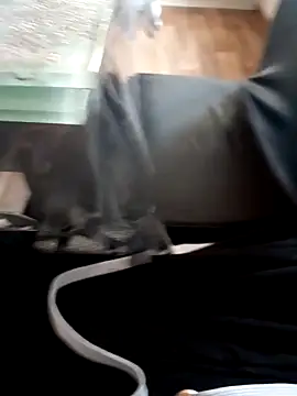 Snapshot of Bigdick420anal chatting on 03.20.25 Bigdick420anal online show from 03.20.25