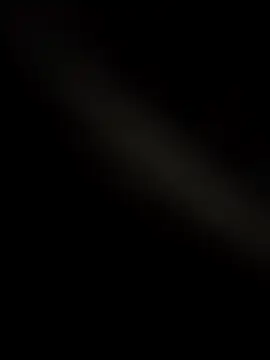 wildfun  online show from 11.24.25