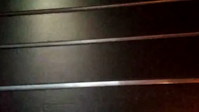 wetnwildforyou online show from 10.22.25