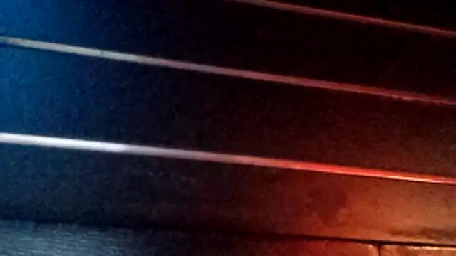 wetnwildforyou online show from 10.29.25