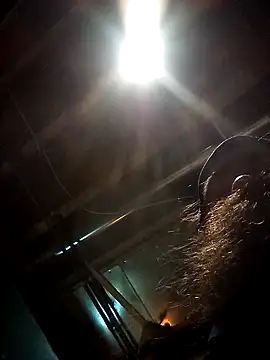 Snapshot of SirJonBradley chatting on 09.19.25 SirJonBradley online show from 09.19.25