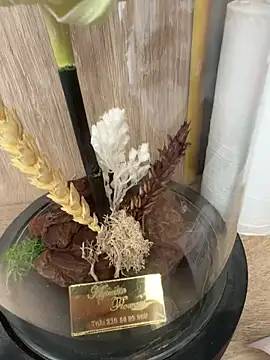 Mrdim26 online show from 10.11.25