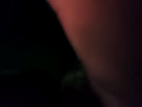 hotson25 online show from 11.11.25