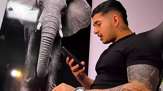 king falconer online show from 10.28.25