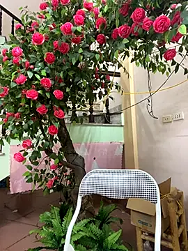 Bollozzy 89 online show from 09.29.25