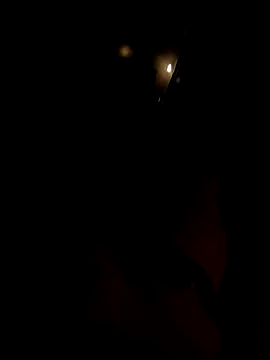 Snapshot of dutch_girl_lover chatting on 10.05.25 dutch girl lover online show from 10.05.25