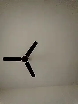 Snapshot of shreyas79 chatting on 10.26.25 shreyas79 online show from 10.26.25