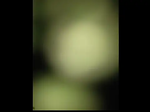 Snapshot of sobit1234 chatting on 10.18.25 sobit1234 online show from 10.18.25