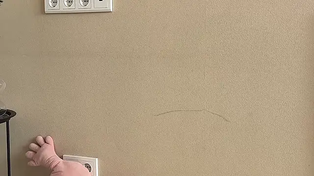 daniellia  online show from 11.23.25