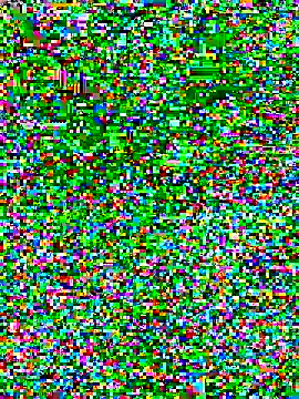 linhbe96xxx online show from 11.03.25