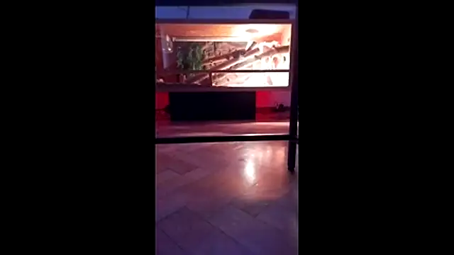 M6I6K6Exh online show from 12.04.25