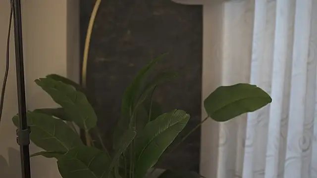 Ariaa Isabell online show from 09.11.25