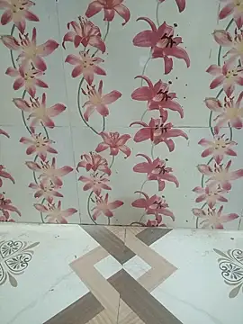 Snapshot of Meenaksi-singh chatting on 10.04.25 Meenaksi-singh online show from 10.04.25