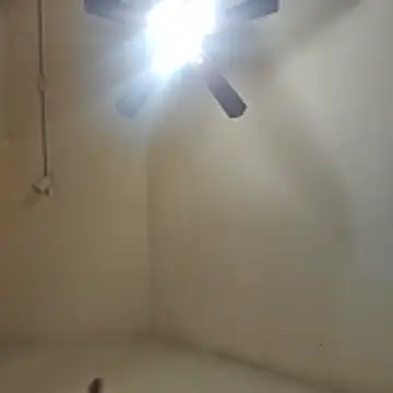 Snapshot of Tclarke93 chatting on 11.12.25 Tclarke93 online show from 11.12.25